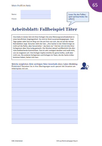 Arbeitsblatt: Mein Profil im Netz - Arbeitsblatt: Fallbeispiel Täter
