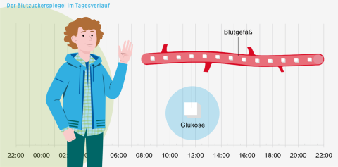 Interaktion: Der Blutzuckerspiegel im Tagesverlauf