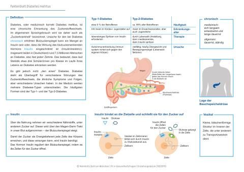 Text: Faktenblatt "Diabetes mellitus"