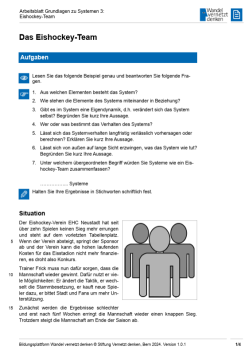 Arbeitsblatt: Modul 5 | Arbeitsblatt 3 "Das Eishockey-Team (soziales System)"