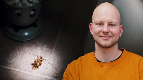 Video: Was verdient ein Schädlingsbekämpfer?
