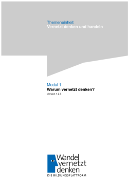 Unterrichtsplanung: Modul 1 | Warum vernetzt denken?​