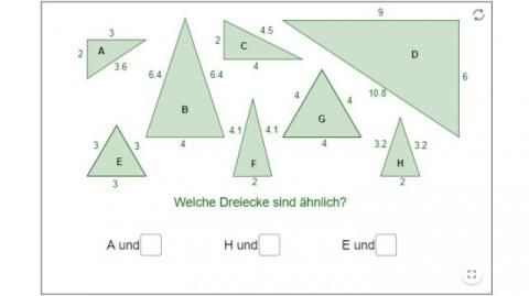 Interaktion: Welche Dreiecke sind ähnlich?