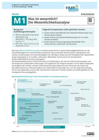Arbeitsblatt: M1 11 Was ist wesentlich? Die Wesentlichkeitsanalyse