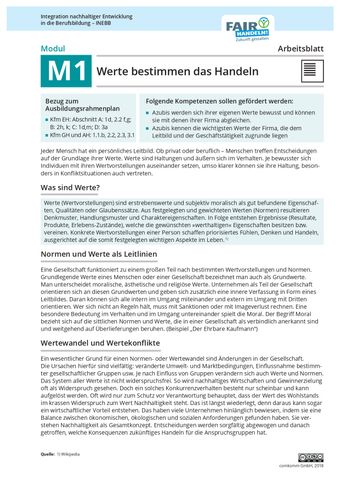 Arbeitsblatt: M1 13 Werte bestimmen das Handeln