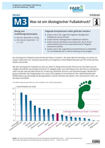 Arbeitsblatt: M3 02 Was ist ein ökologischer Fußabdruck?