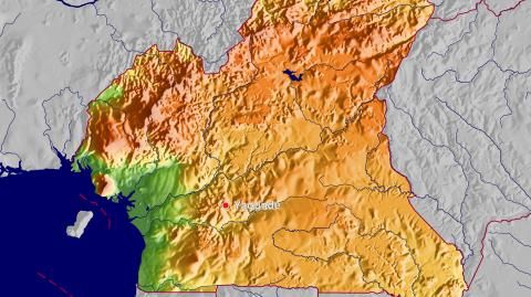 Karte: Landkarte Kamerun (Staatsgrenzen und Hauptstadt): farbkodierte Topographie, schattiertes Relief
