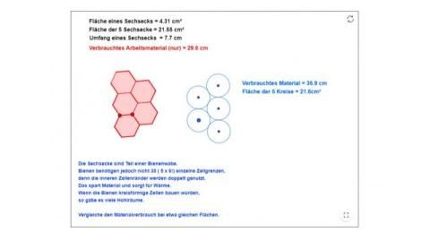 Interaktion: Die schlauen Bienen