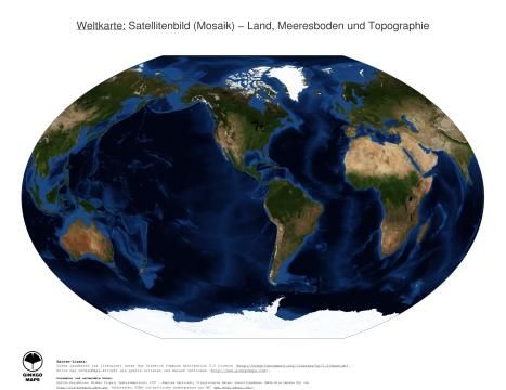 Karte: Weltkarte (Land, Meeresboden und Topographie)