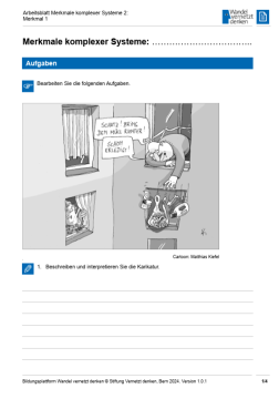 Arbeitsblatt: Modul 6 | Arbeitsblatt 2 "Merkmale komplexer Systeme: Selbstorganisation"