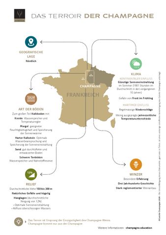 Arbeitsblatt: Das Terroir der Champagne