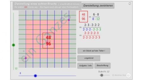 Interaktion: Echte Brüche