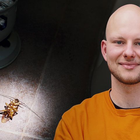 Video: Was verdient ein Schädlingsbekämpfer?