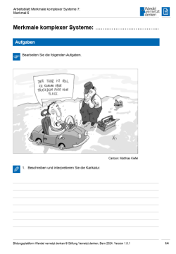 Arbeitsblatt: Modul 6 | Arbeitsblatt 7 "Merkmale komplexer Systeme: notwendige Elemente"