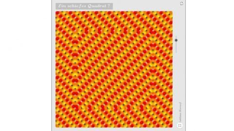 Interaktion: Optische Illusion - ein schiefes Quadrat?