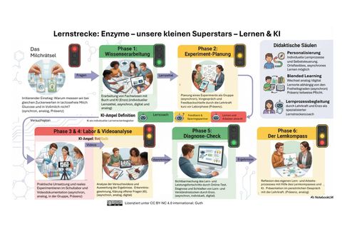 Infografik: Lernstrecke: Enzyme - unsere kleinen Superstars - Lernen & KI