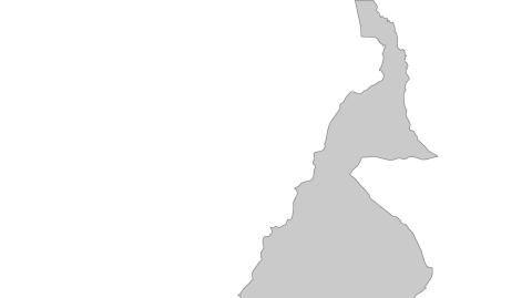 Karte: Landkarte Kamerun (Politische Staatsgrenzen)