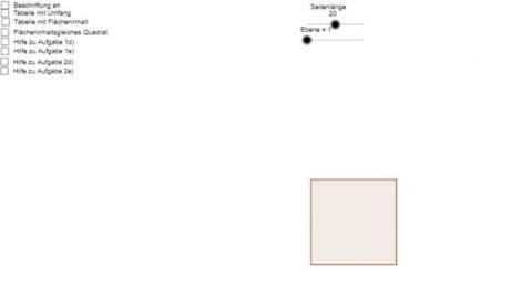 Interaktion: Quadratpflanze