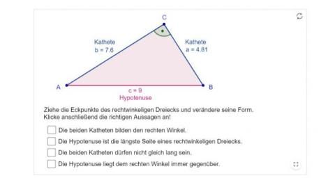 Interaktion: Das rechtwinkelige Dreieck - Grundbegriffe