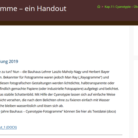 Unterrichtsplanung: Cyanotypie-Fotogramme – ein Handout