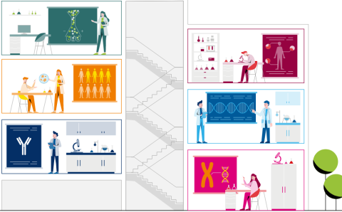 Interaktion: Infografik: Diabetesforschung