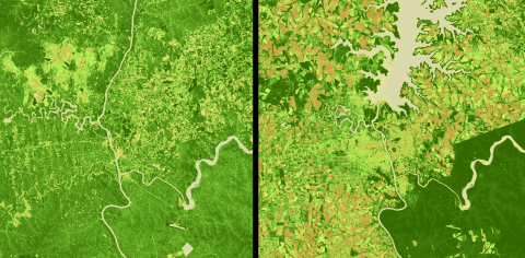 Video: Landnutzungswandel