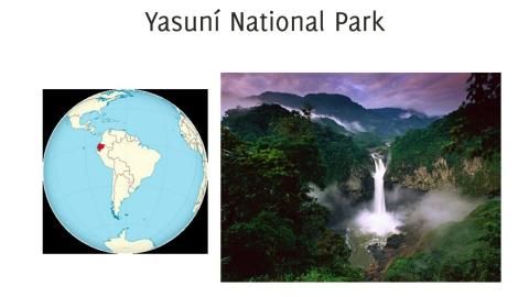 Unterrichtsbaustein: Can Yasuní be saved? - Presentation