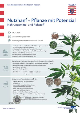 Veranschaulichung: Poster: Nutzhanf - Pflanze mit Potenzial