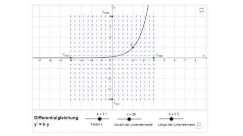 Interaktion: Richtungsfeld für eine Differentialgleichung