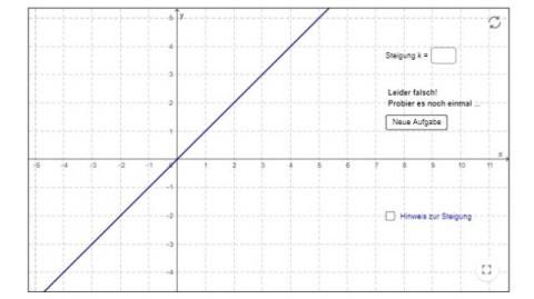 Interaktion: Lineare homogene Funktion