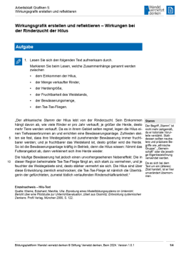 Arbeitsblatt: Modul 16 | Arbeitsblatt 5 "Wirkungsgrafik erstellen und reflektieren"